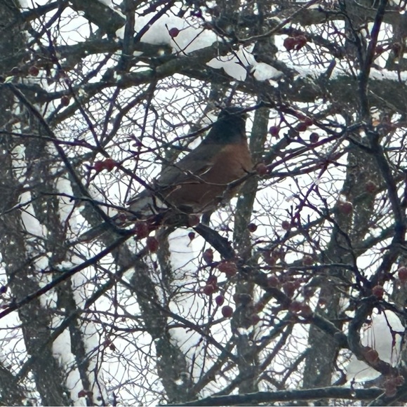 Meet your Posher, Stefani - Picture 2 of 2